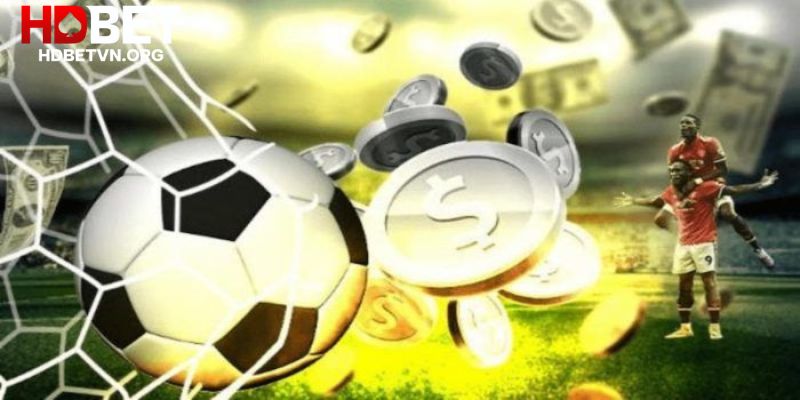 Đánh giá yếu tố ngoại cảnh để đưa ra lựa chọn